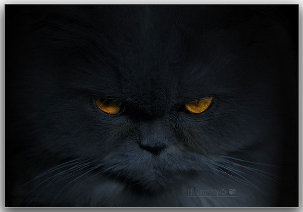 Евгений Трунов