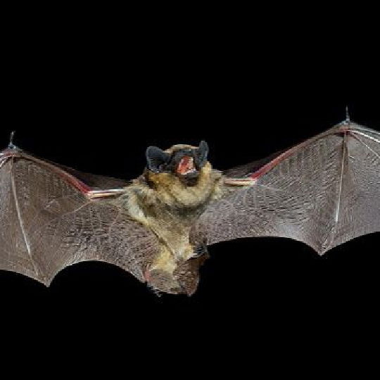 Сергей Ильин