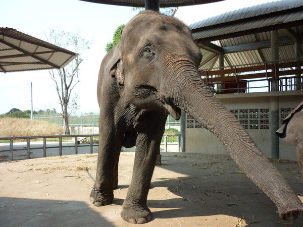 Татьяна Иванова