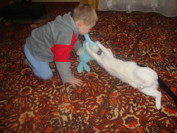 Анатолий Берестов