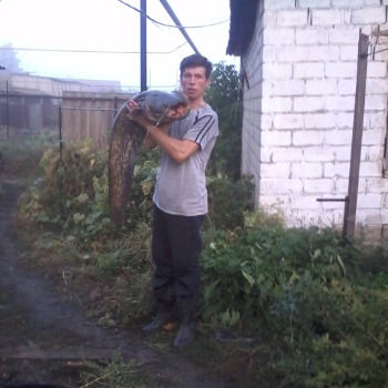 Женя Шаульский