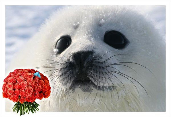 Оксана Шаповалова