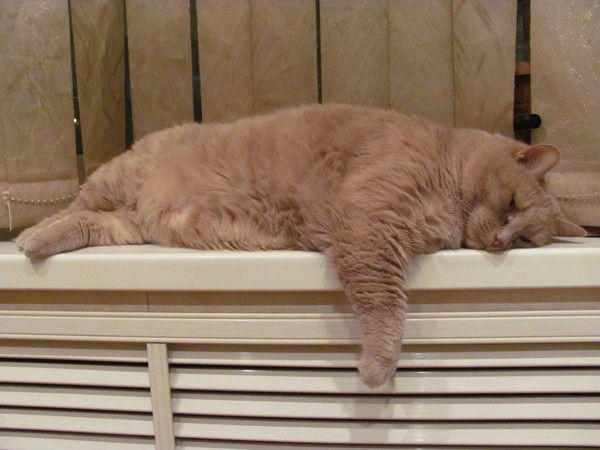 Наташа Епифанова