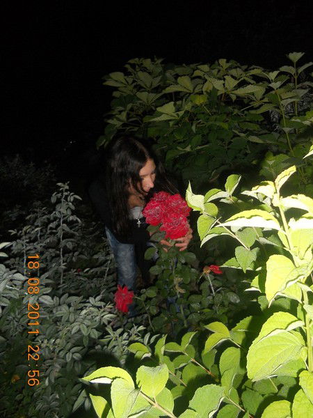 Ангел-Без-Души И-Тела