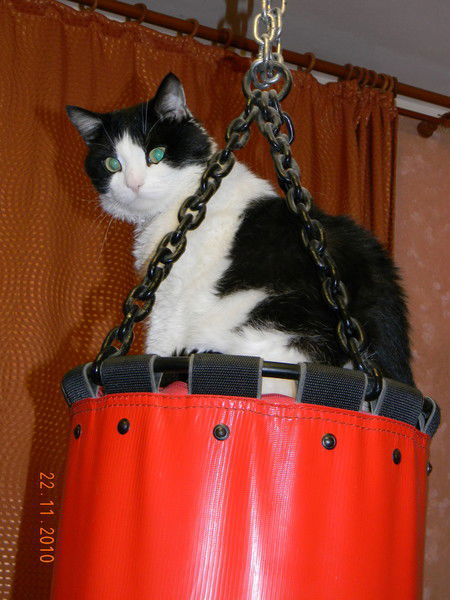 Виктор Ворфоломеев