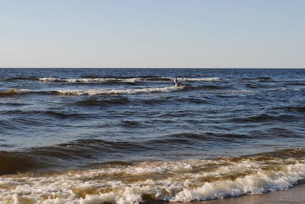 Татьяна Павленко