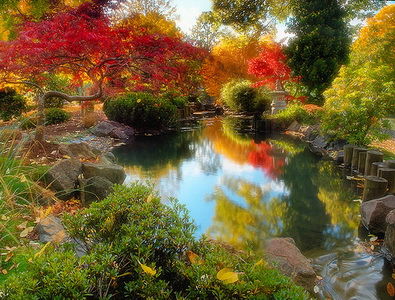 Елена Агапова