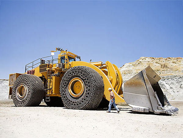 Владимир Шевчук