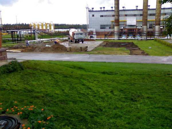 Александр Несвицкий