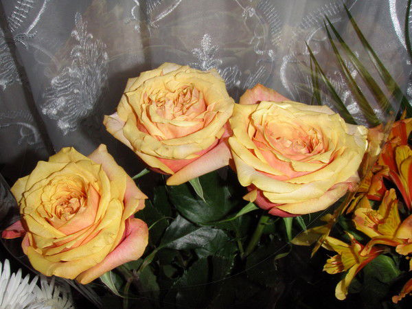 Надежда Селезнева