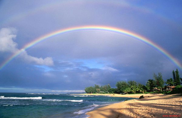 Наталья Орлова