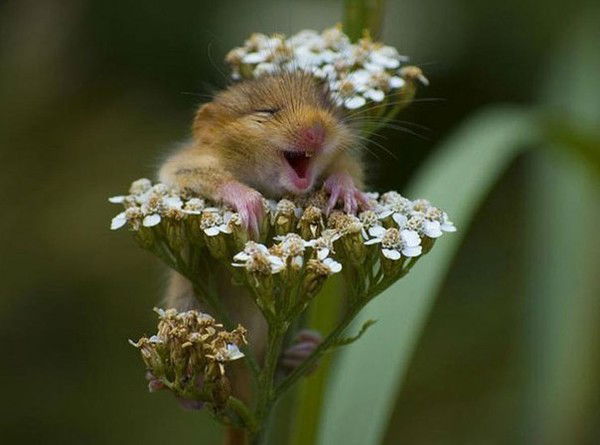 Маргарита Третьяк