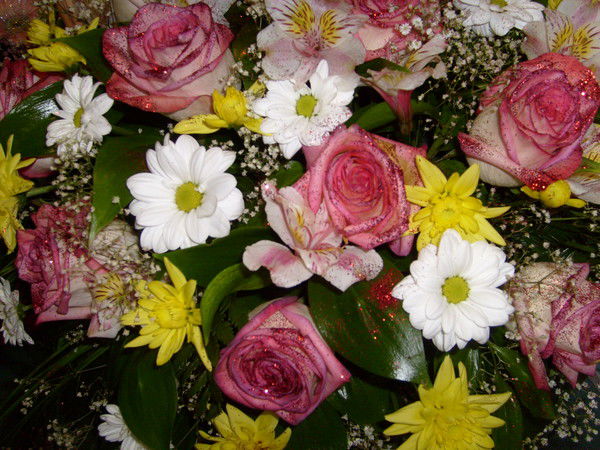 Туровцева Татьяна