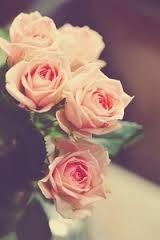 Полина Шмарович