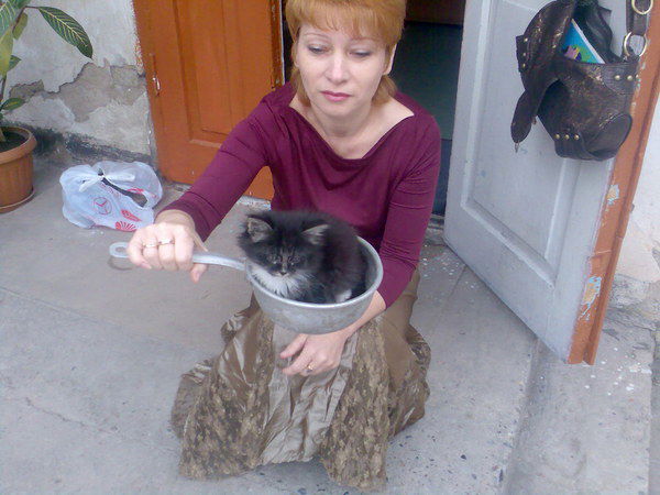 Наташа Емелина