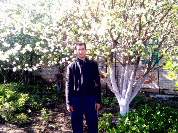 Борис Микушов