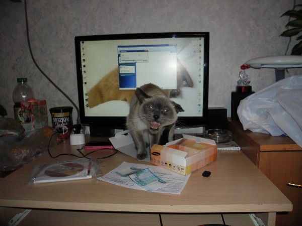 Евгений Зверев