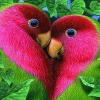 Молдир Омирзакова