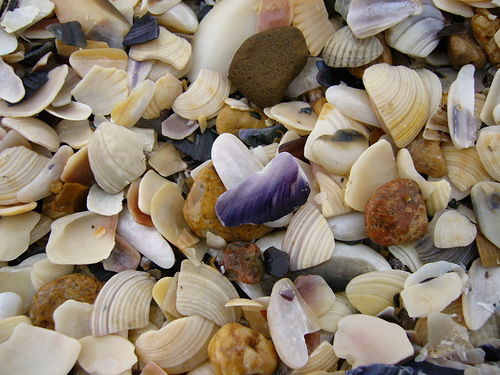 Ирина Безуглая