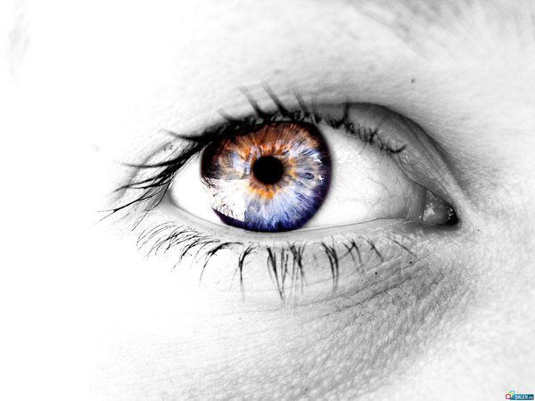 Сергей Кутелев