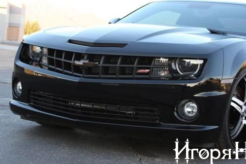 Игорян Стецюк