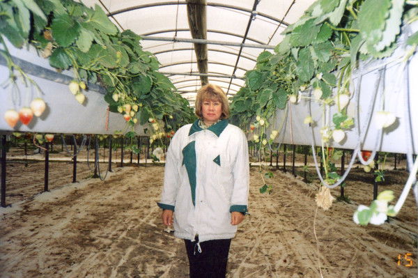 Анастасия Мазур