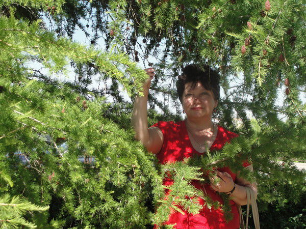 Валентина Сединкина