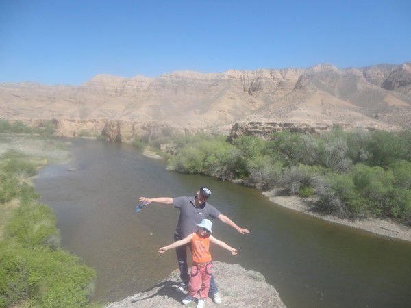 Владимир Борт