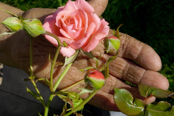 Элла Оганова