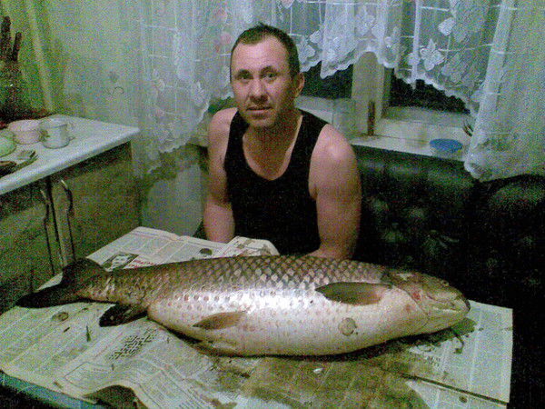 Виталик Привезенцев