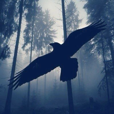 Святополк Белый