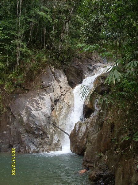 Марина Васина