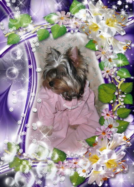 Зинаида Белова