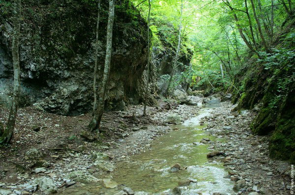 Александра Бешимова
