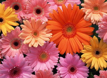 Нина Николаевна