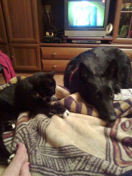 Александр Алферов