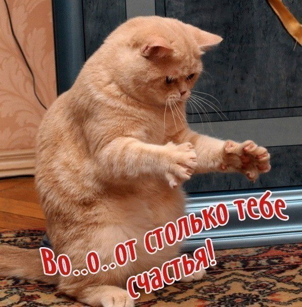 Татьяна Силаева