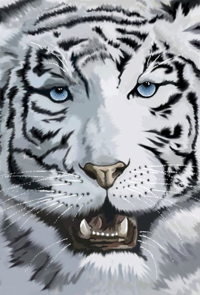 Руслан Тапаков