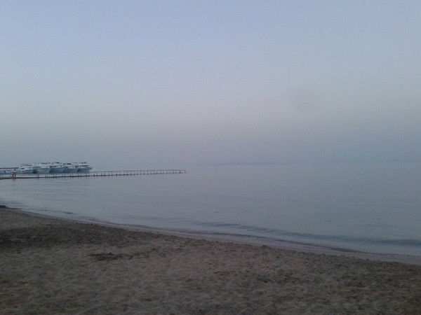 Светлана Бондарева