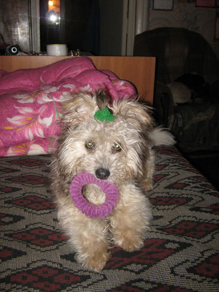 Валентина Земцовская