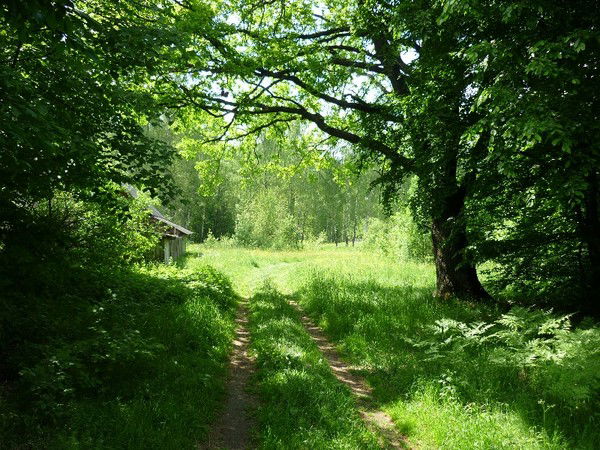 Нина Холодова