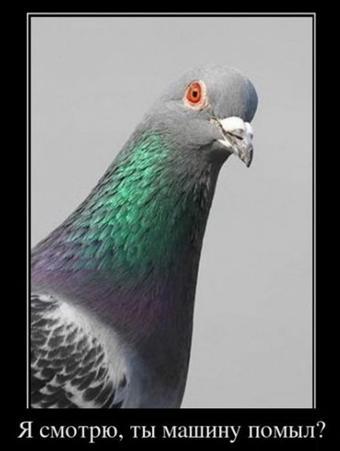 Татьяна Трунова