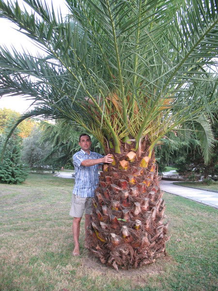 Игорь Карпов