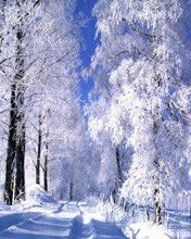 Гузель Гузель