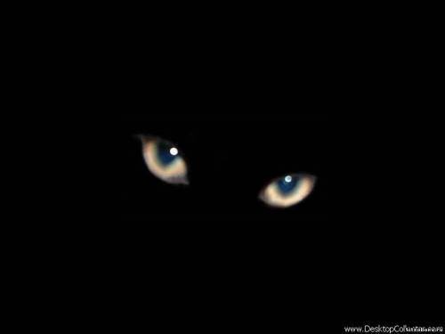 Наталья Шпакова