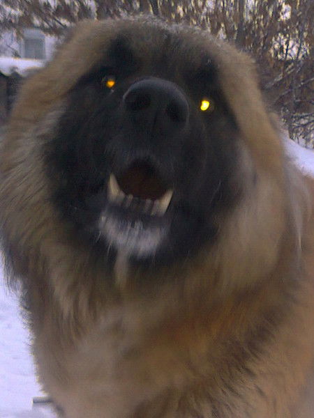 Наташа Вяткина