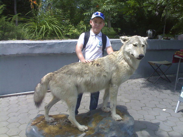 Айсултан Хамет