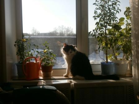 Вера Палилова