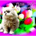 Виктор Виктор