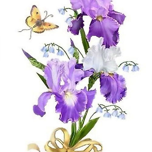 Альбина Фаттахова